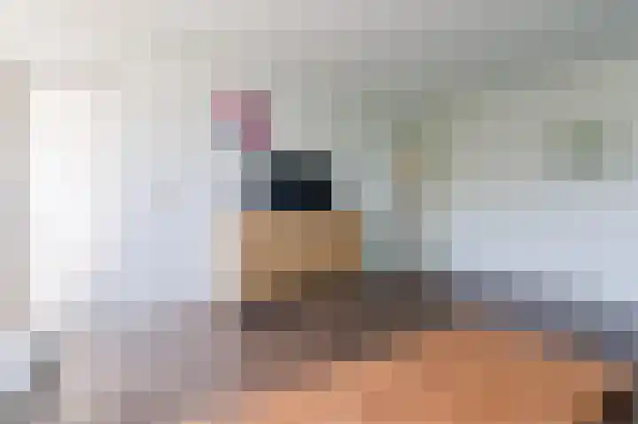 Millingenhof 342 Amsterdam thumbnail 4