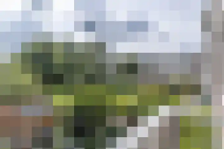 Millingenhof 352 Amsterdam thumbnail 12