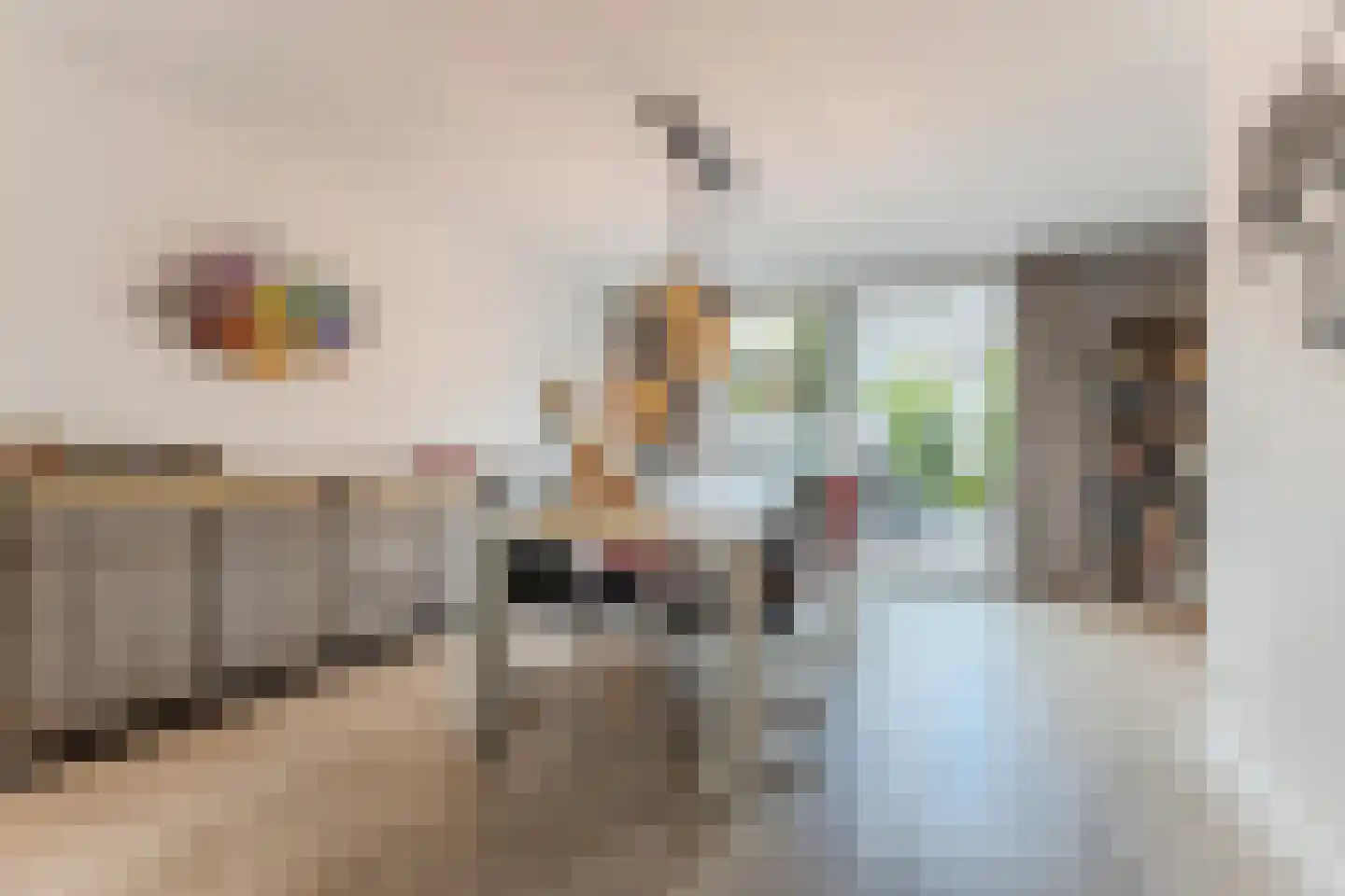 Millingenstraat 13 Tilburg thumbnail 21