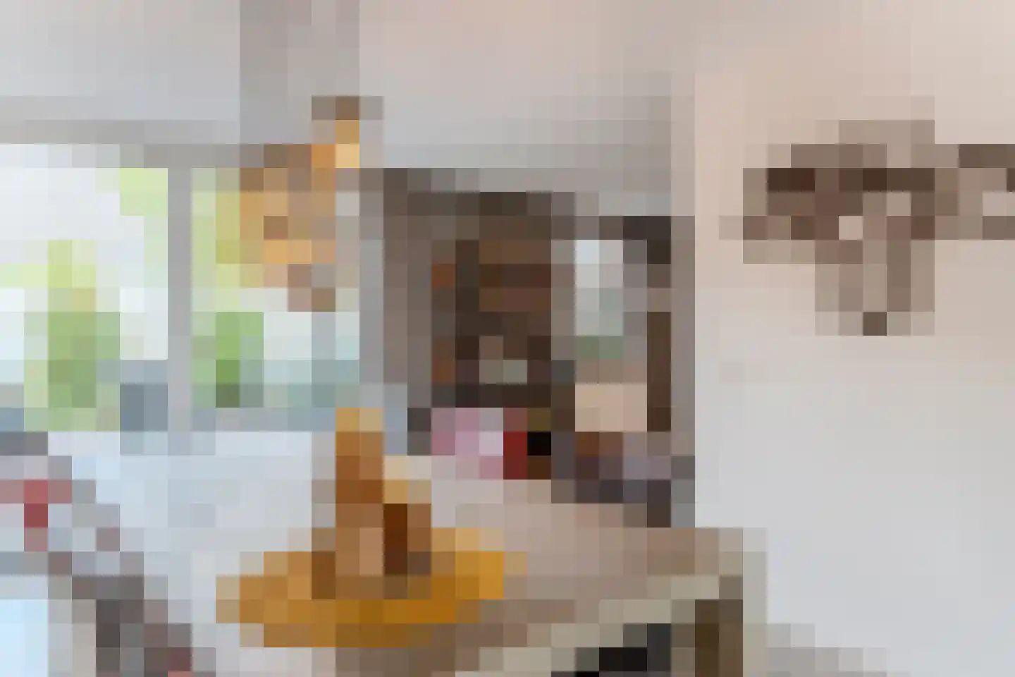 Millingenstraat 13 Tilburg thumbnail 24
