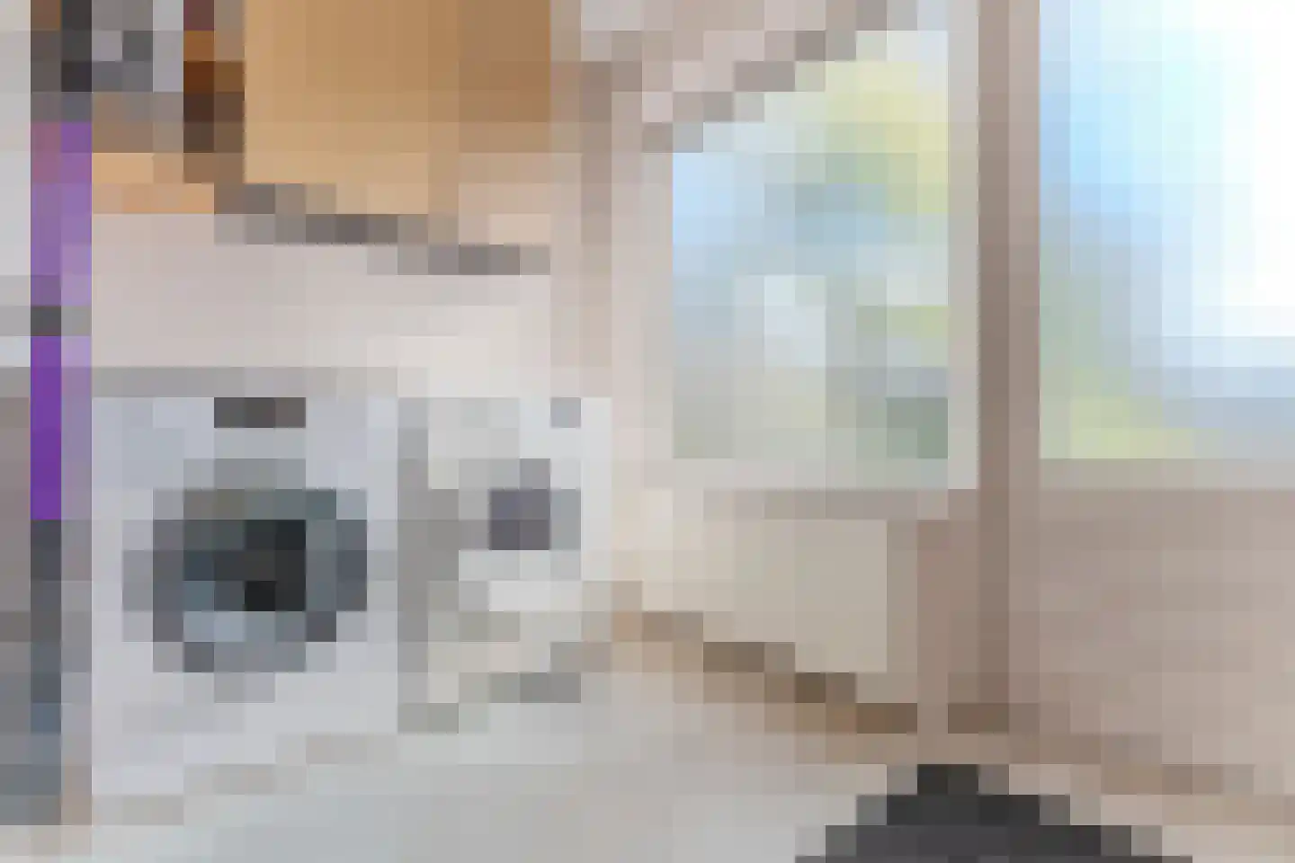 Millingenstraat 13 Tilburg thumbnail 38