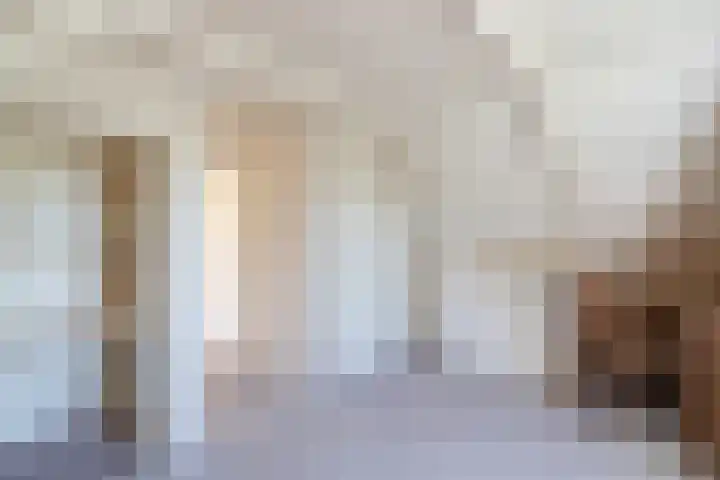Millinghaweg 14 Niekerk thumbnail 31
