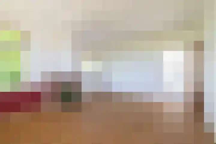 Millinghaweg 14 Niekerk thumbnail 6