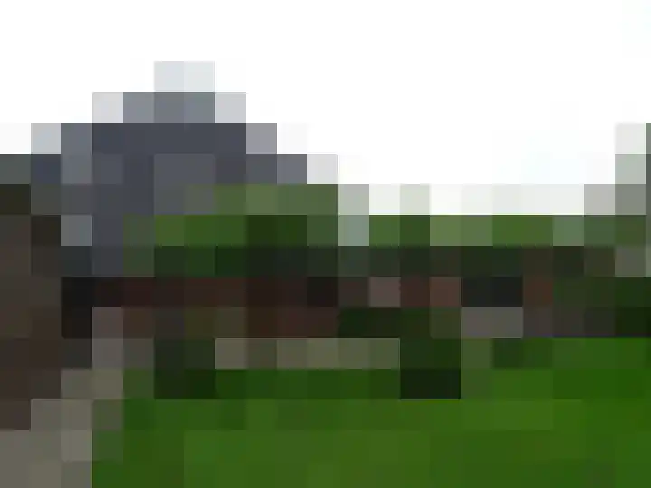 Millinghaweg 5 Niekerk thumbnail 11