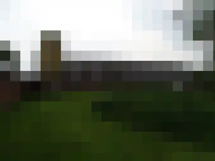 Millinghaweg 5 Niekerk thumbnail 21