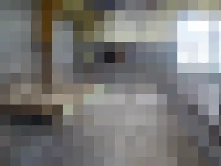 Millinghaweg 5 Niekerk thumbnail 30