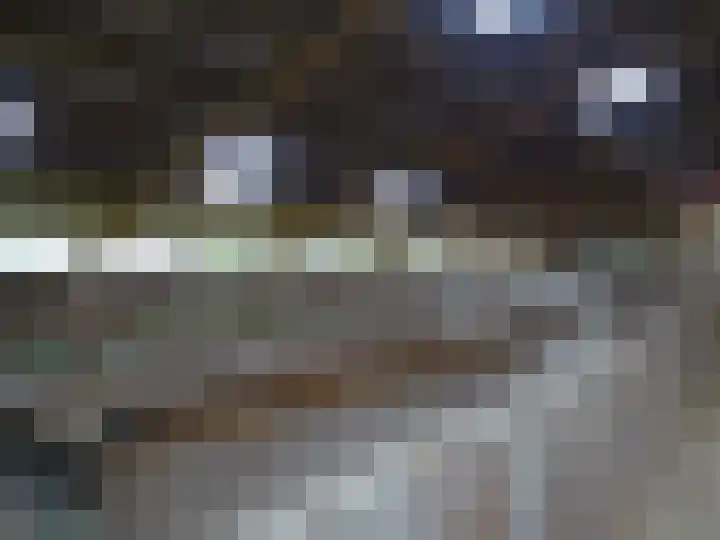 Millinghaweg 5 Niekerk thumbnail 31