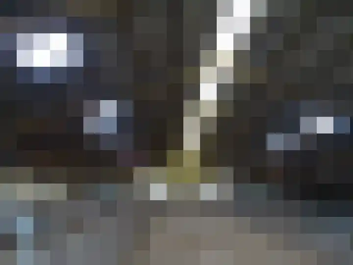 Millinghaweg 5 Niekerk thumbnail 32