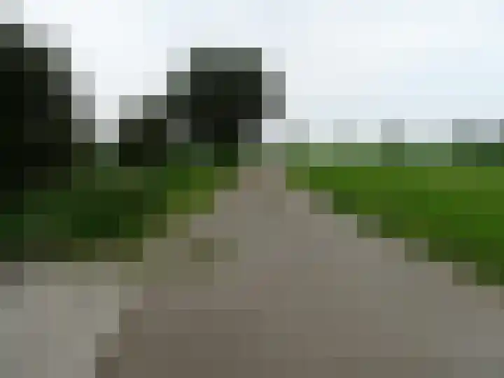 Millinghaweg 5 Niekerk thumbnail 38