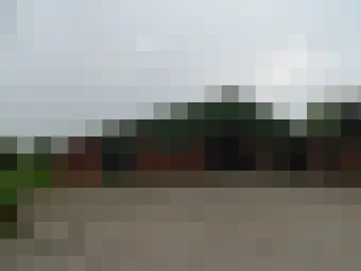 Millinghaweg 5 Niekerk thumbnail 8