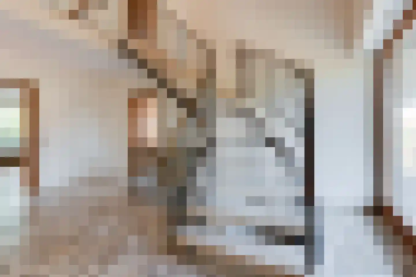 Millingseweg 36 Megchelen thumbnail 22