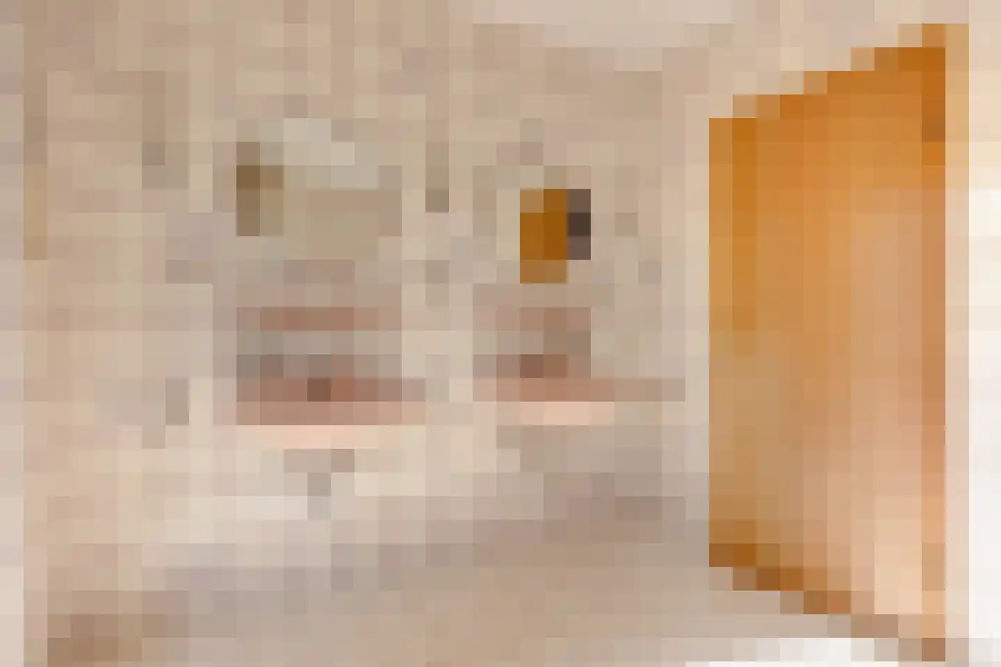 Millingseweg 36 Megchelen thumbnail 32