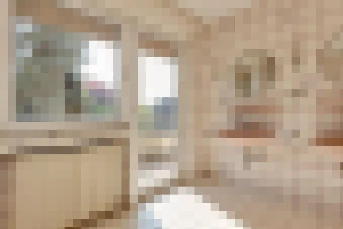 Millingseweg 36 Megchelen thumbnail 33