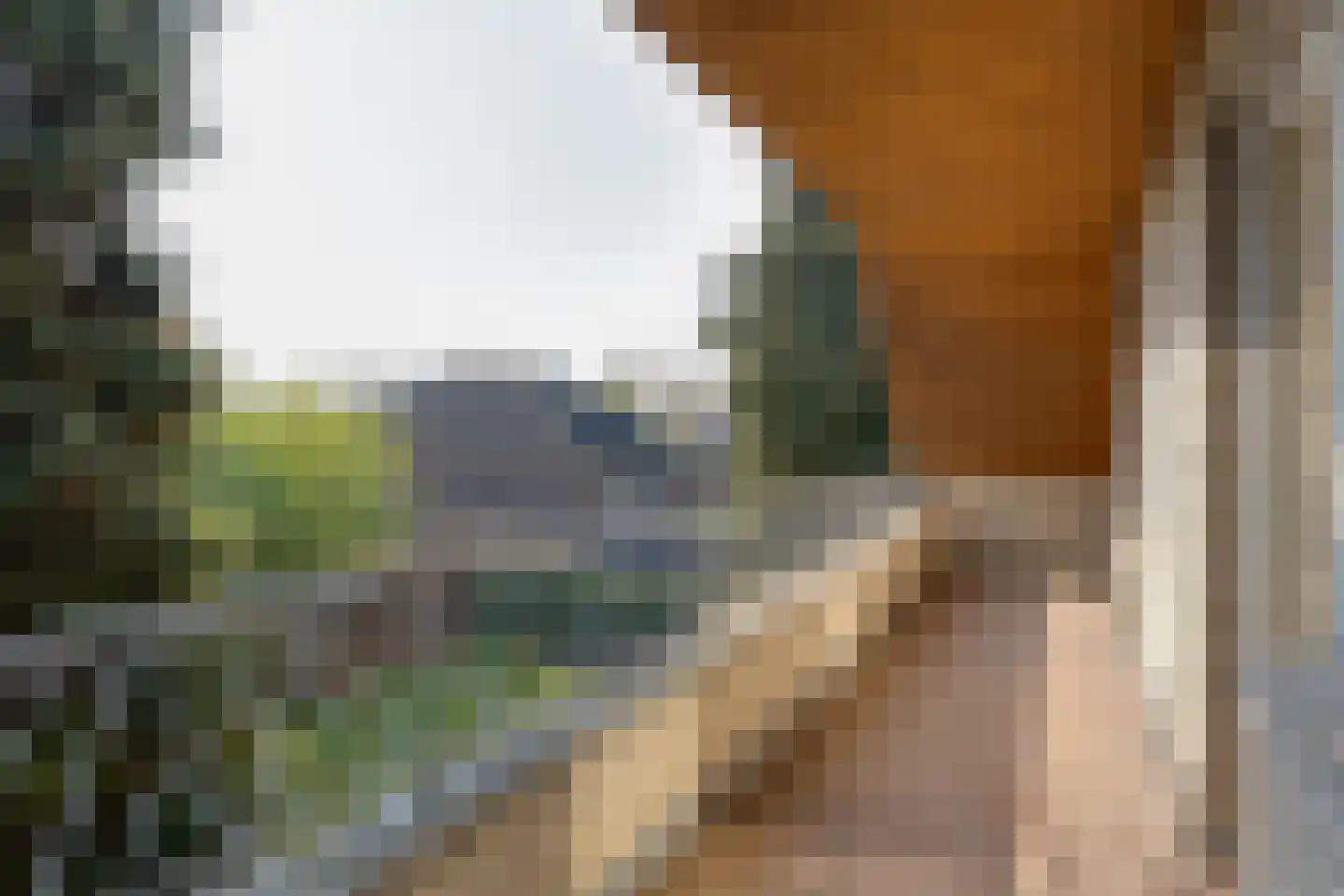 Millingseweg 36 Megchelen thumbnail 34