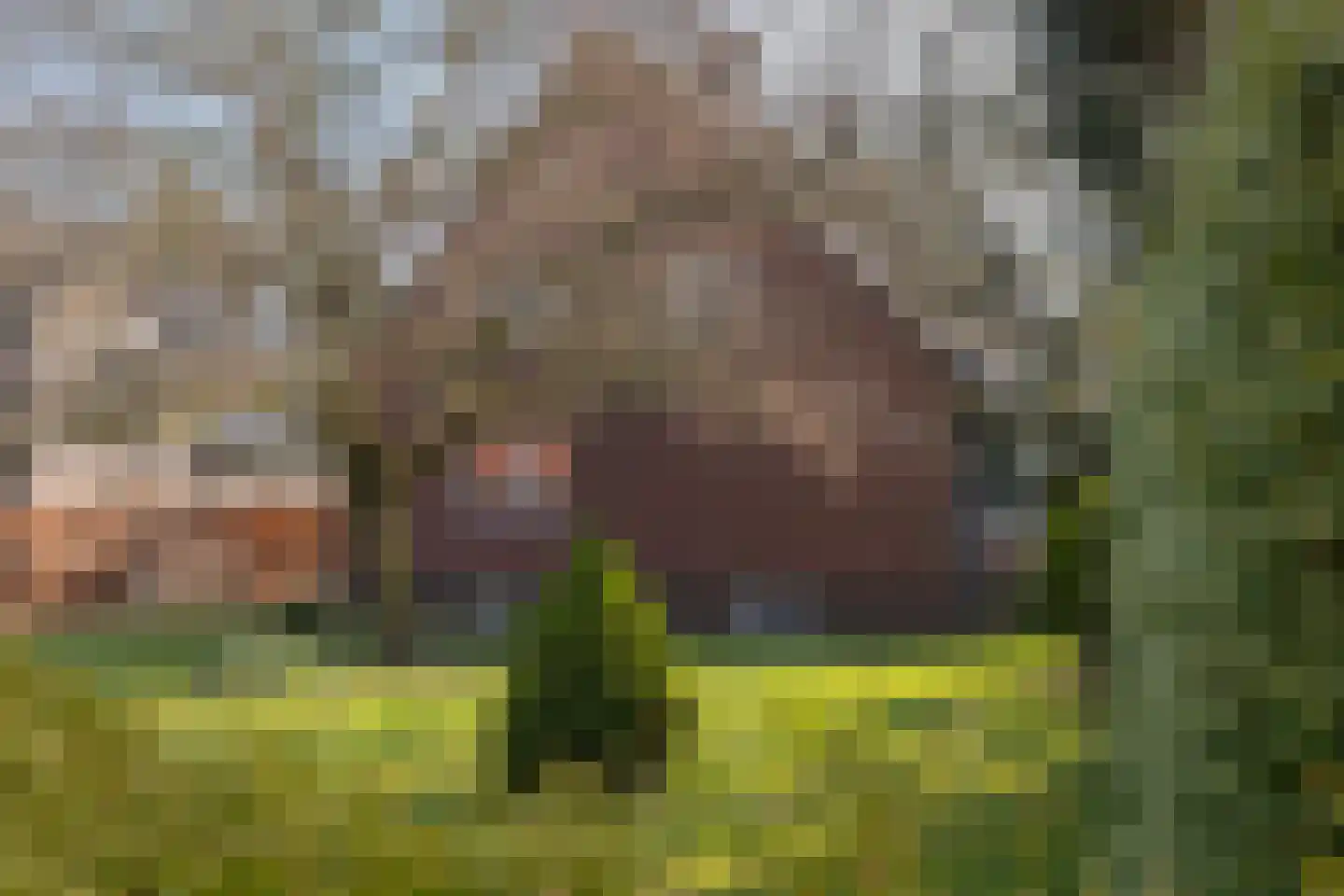 Millingseweg 36 Megchelen thumbnail 4