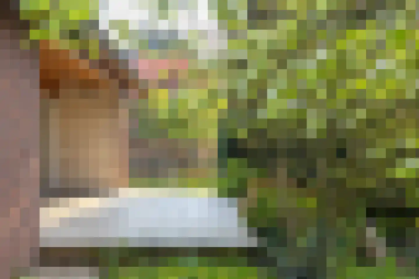 Millingseweg 36 Megchelen thumbnail 43
