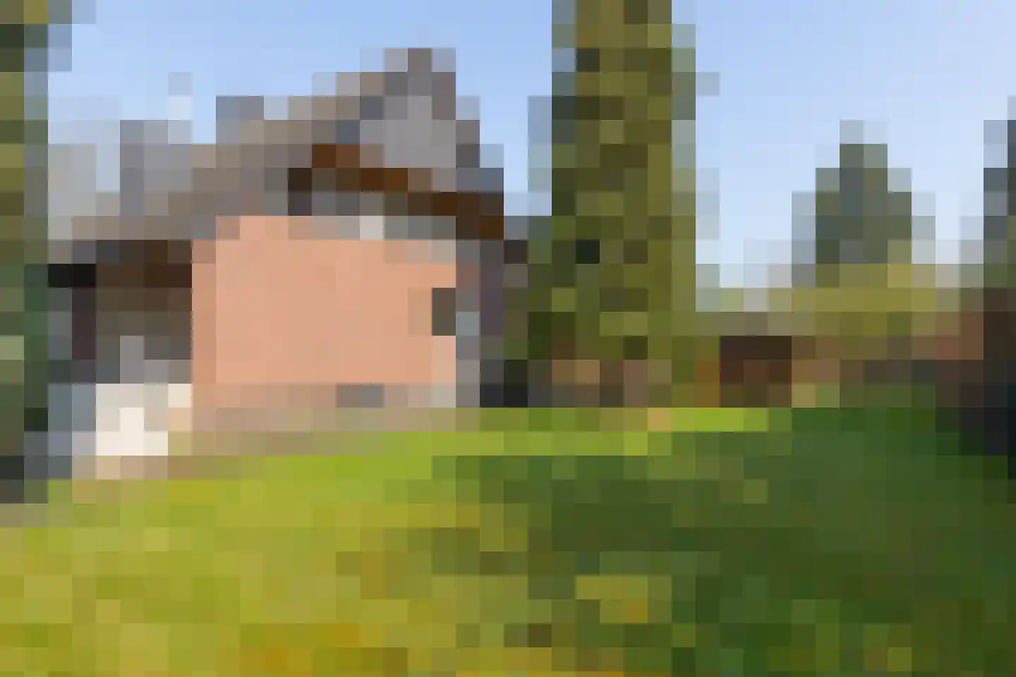 Millingseweg 36 Megchelen thumbnail 45
