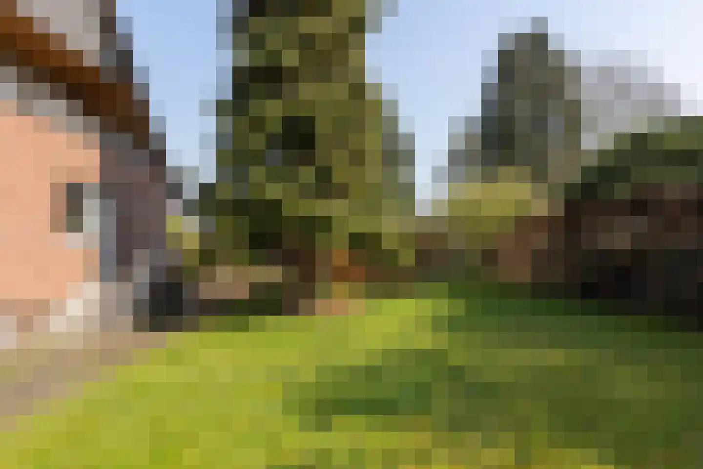Millingseweg 36 Megchelen thumbnail 46