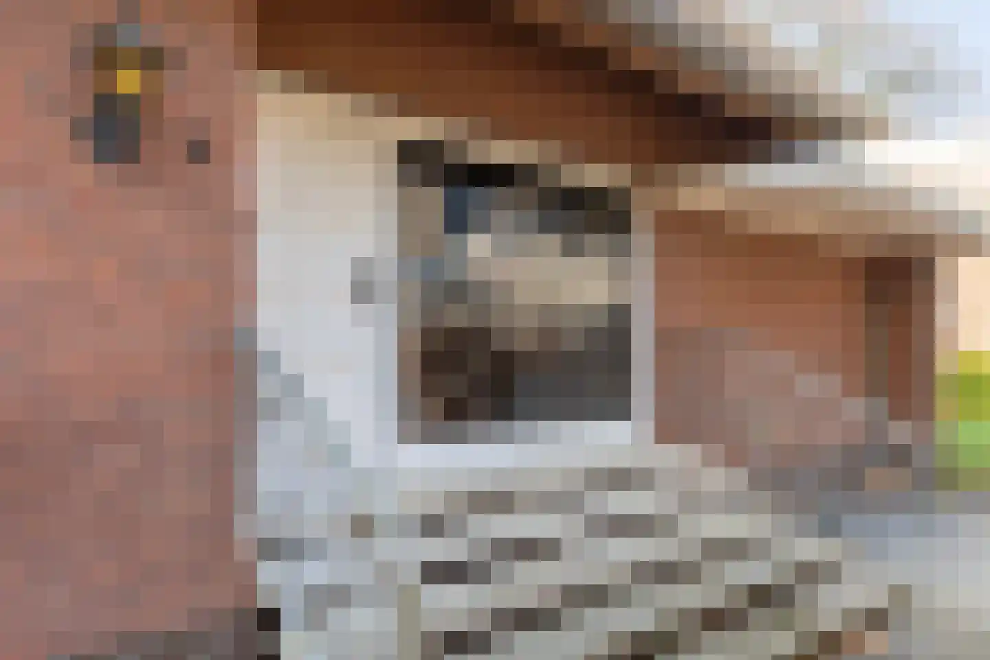 Millingseweg 36 Megchelen thumbnail 6