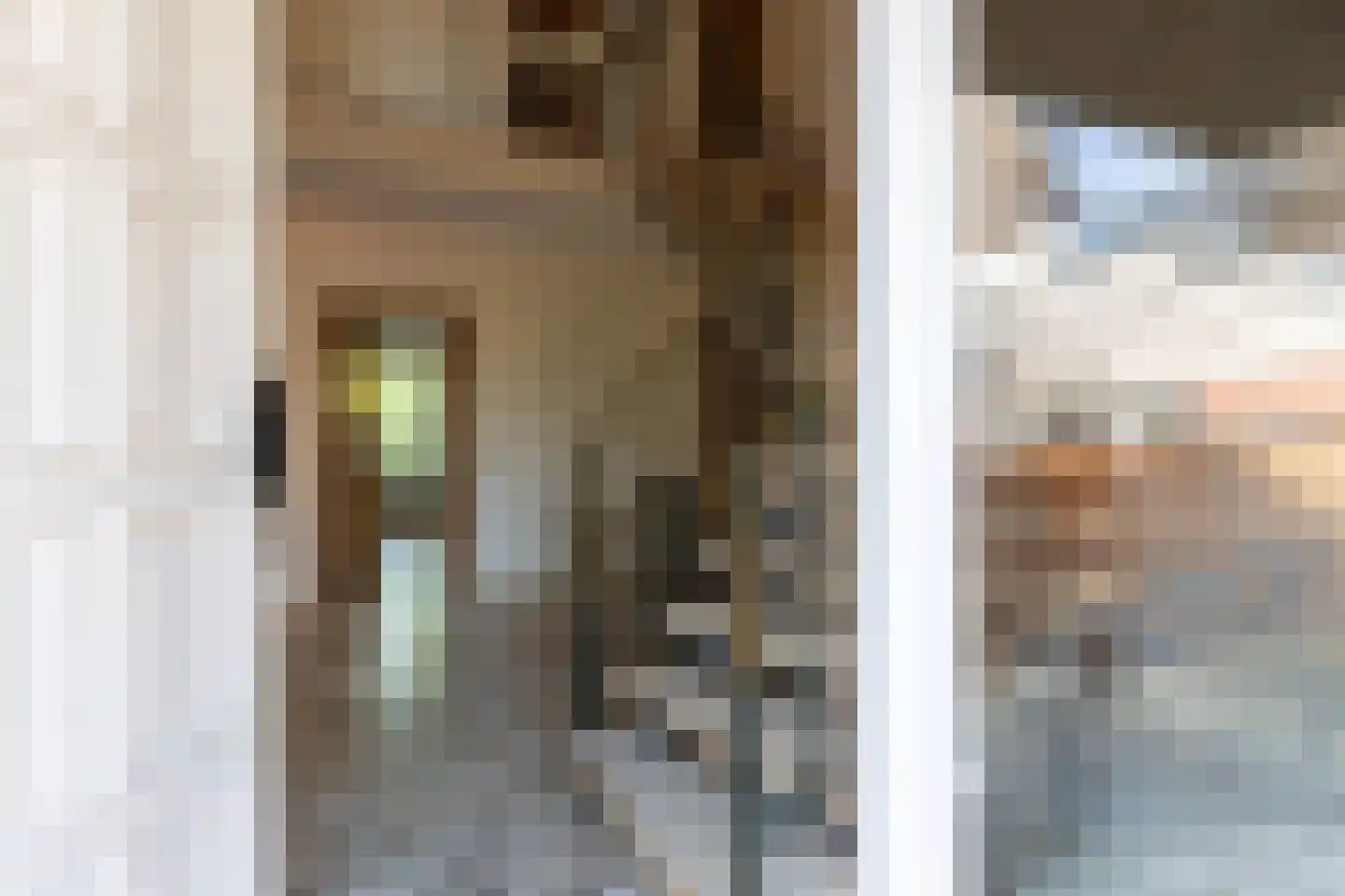 Millingseweg 36 Megchelen thumbnail 7