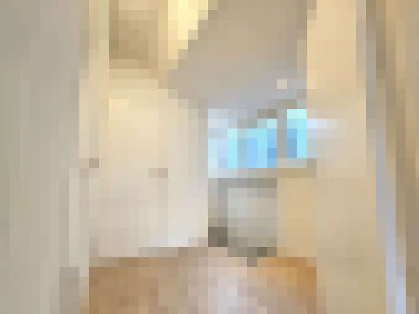 Millinxstraat 24 B Rotterdam thumbnail 15