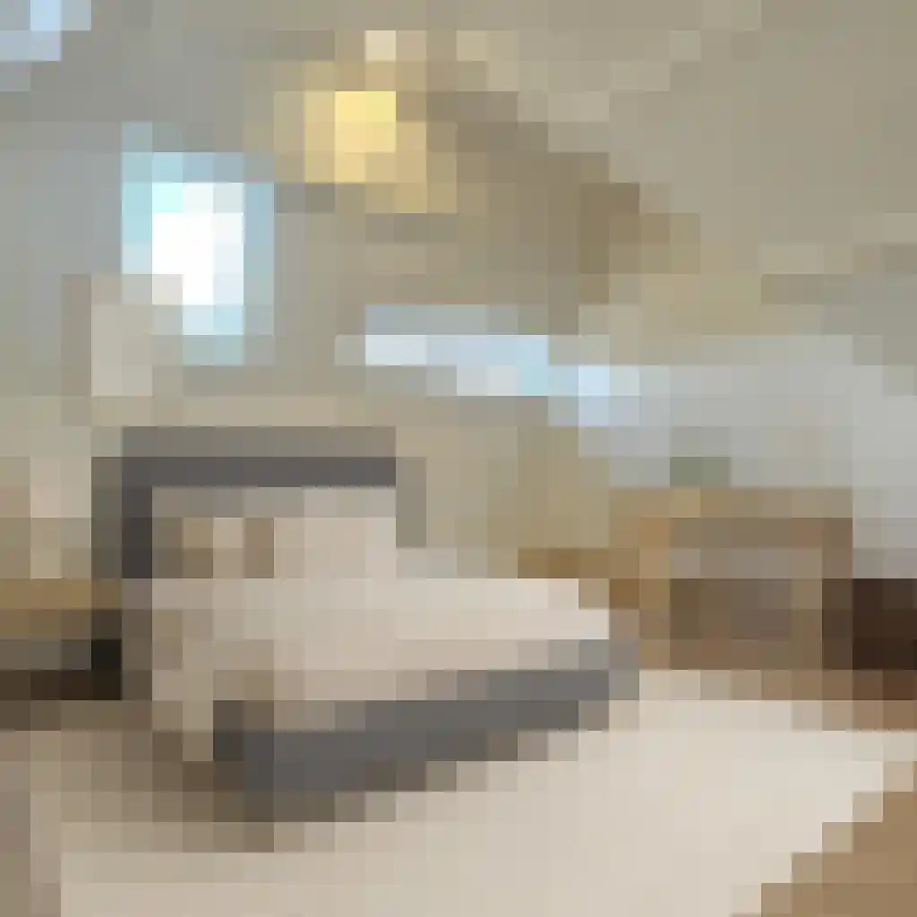 Millinxstraat 24 B Rotterdam thumbnail 16