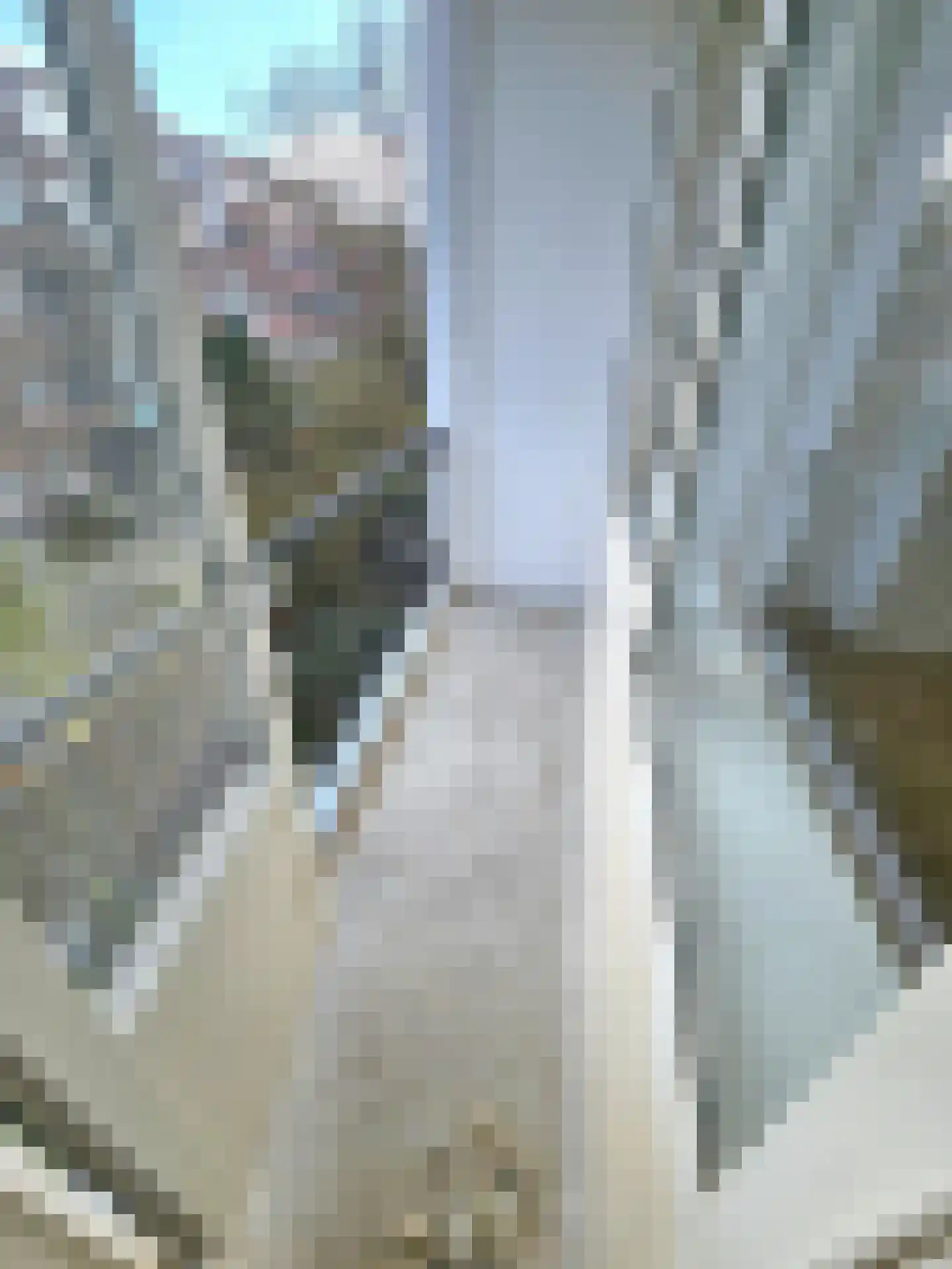 Millinxstraat 24 B Rotterdam thumbnail 25