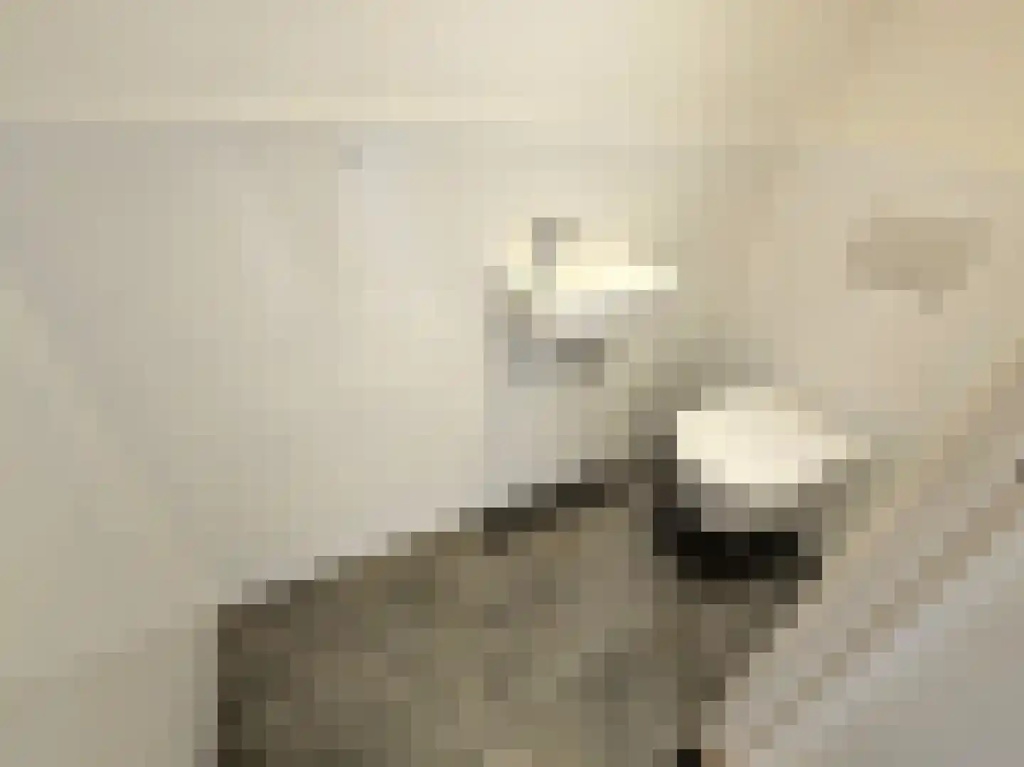 Millinxstraat 24 B Rotterdam thumbnail 8