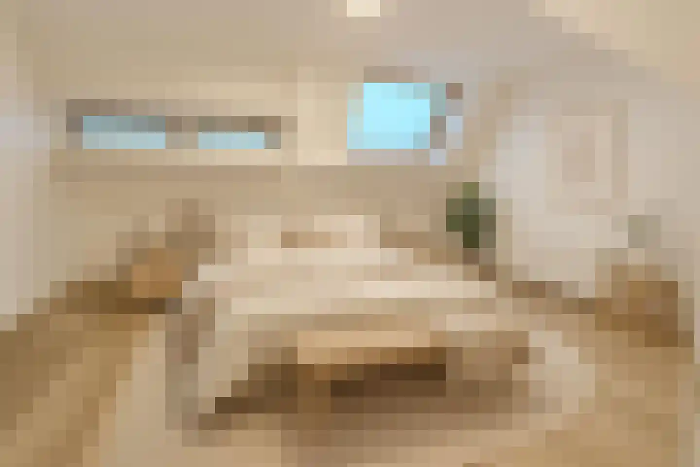 Millinxstraat 26 B 01 Rotterdam thumbnail 16