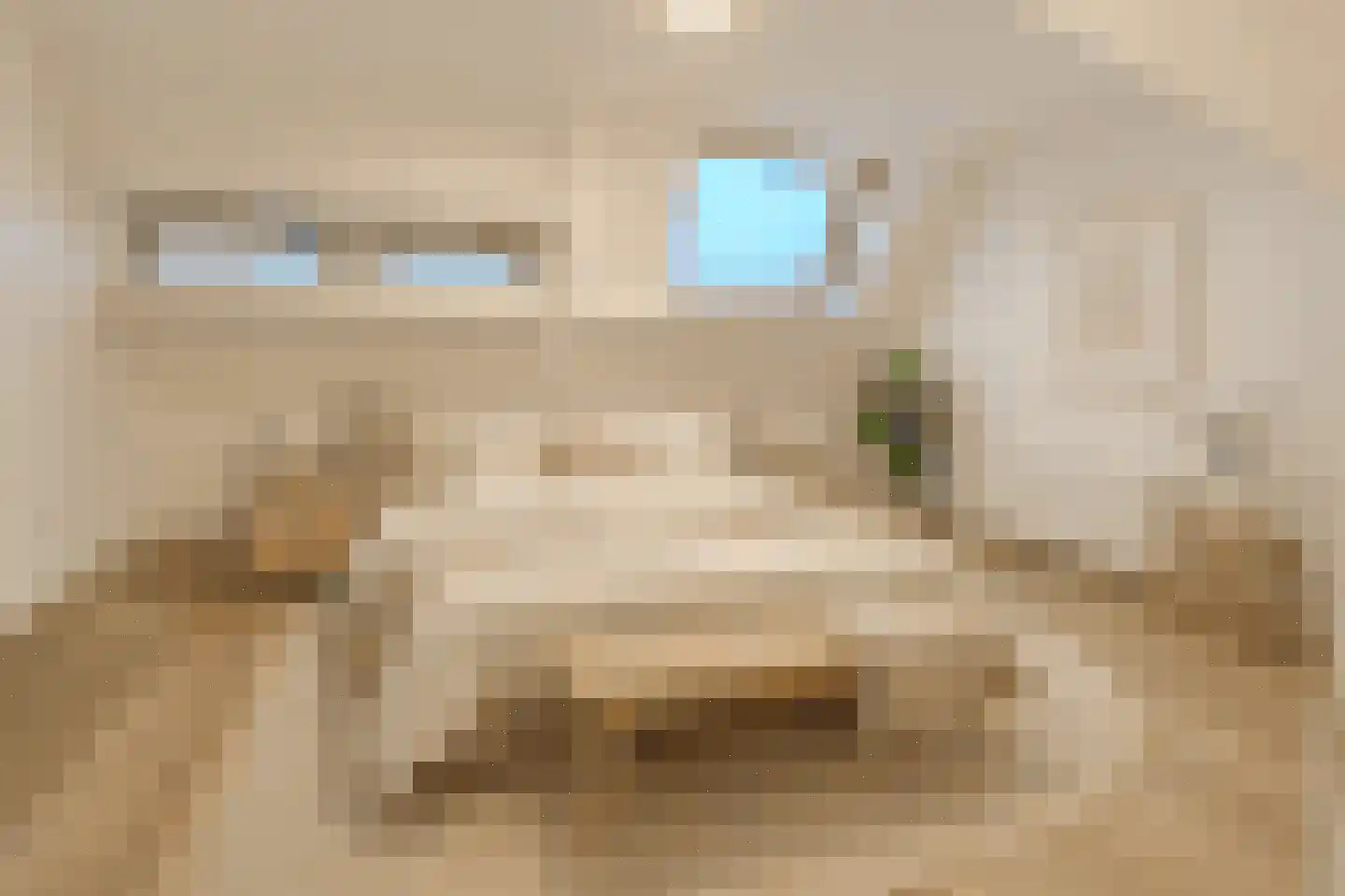Millinxstraat 26 B 02 Rotterdam thumbnail 15