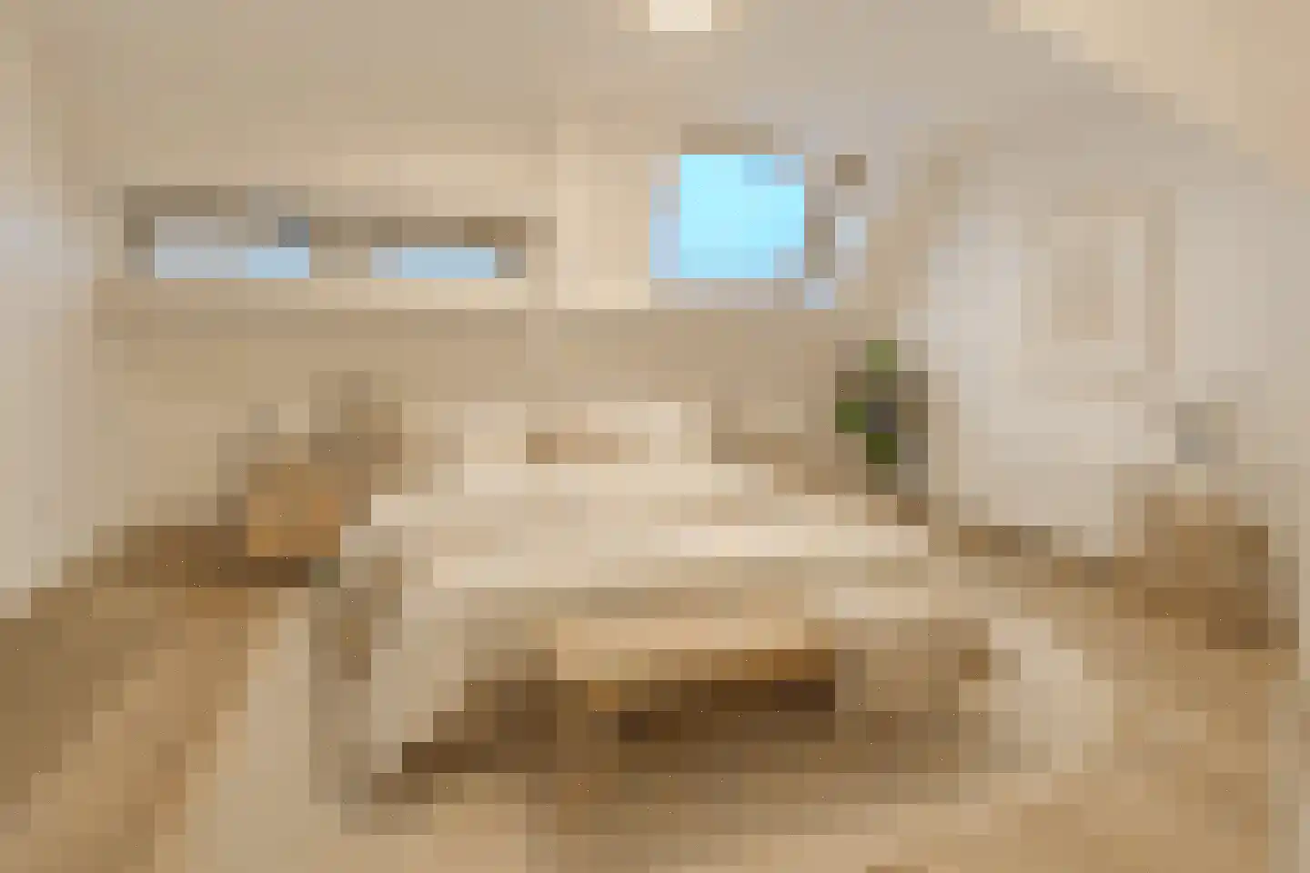 Millinxstraat 26 B 02 Rotterdam thumbnail 16
