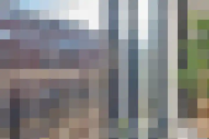 Millinxstraat 50 A Rotterdam thumbnail 14