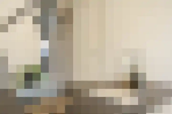 Millinxstraat 50 A Rotterdam thumbnail 25