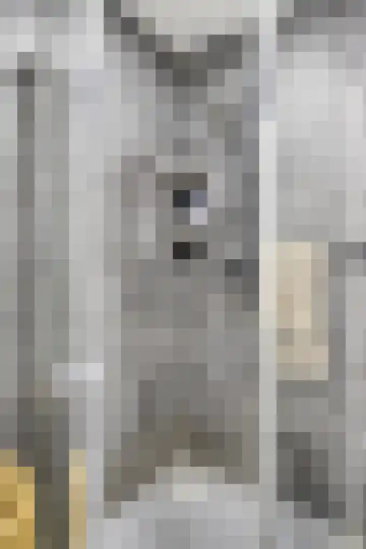 Millinxstraat 76 B Rotterdam thumbnail 21