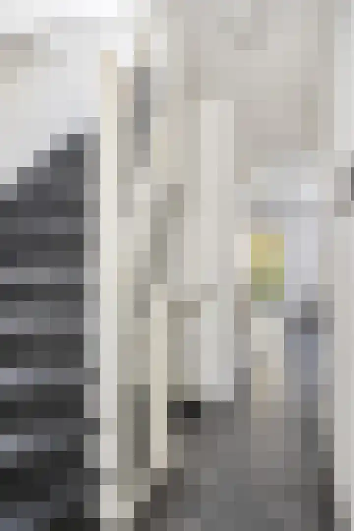 Millinxstraat 76 B Rotterdam thumbnail 4