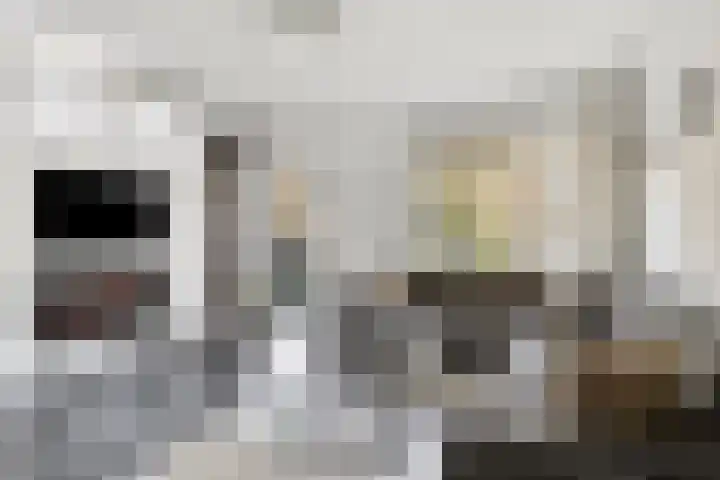 Millinxstraat 76 B Rotterdam thumbnail 7