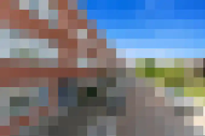 Millinxstraat 84 B Rotterdam thumbnail 17