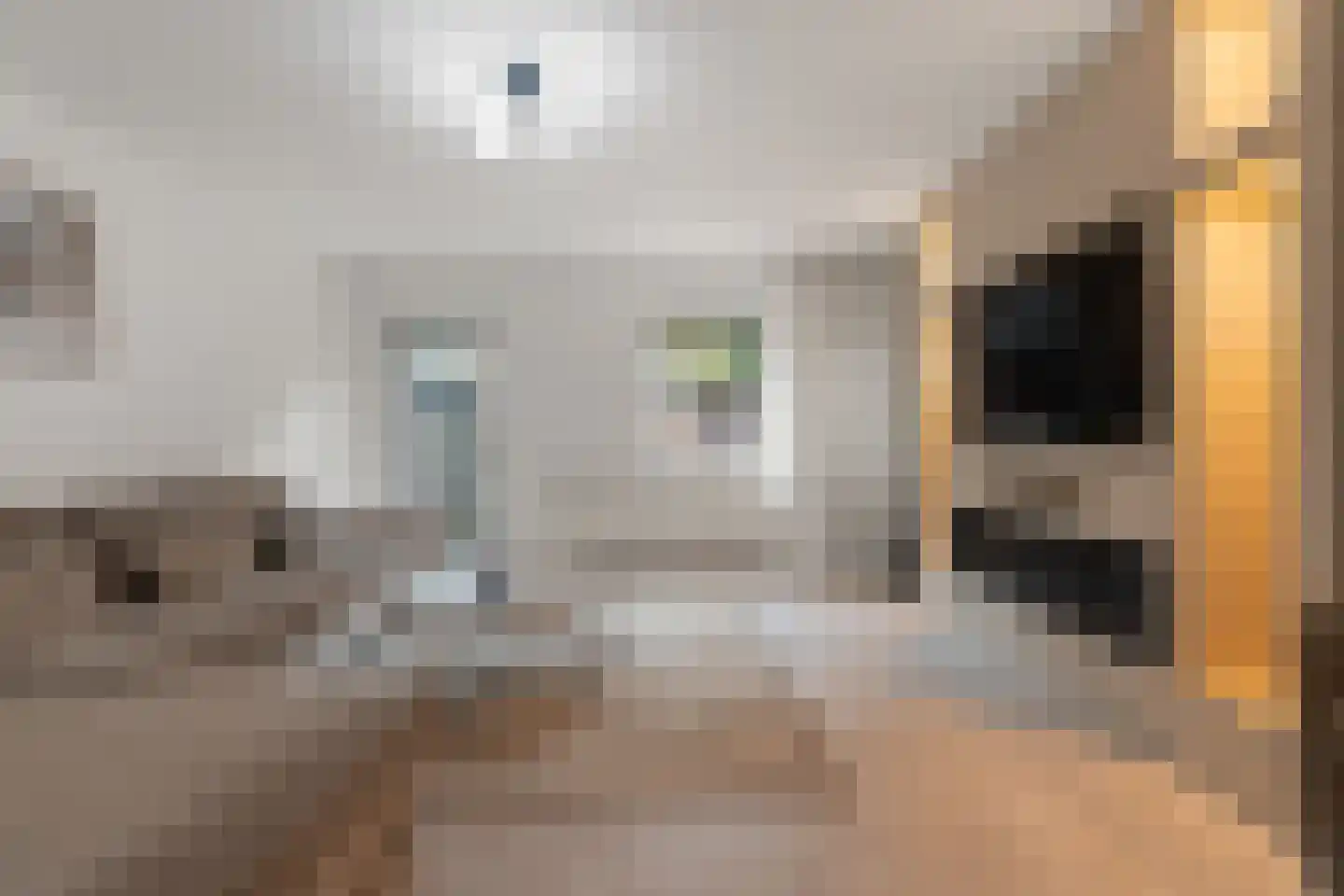 Millinxstraat 92 B Rotterdam thumbnail 5
