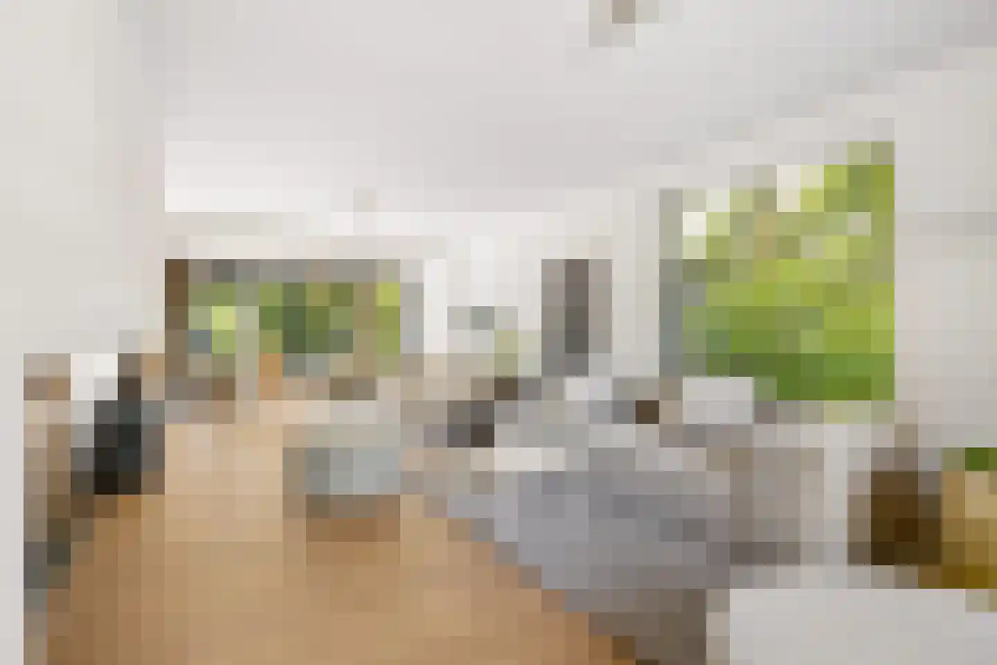 Millsebaan 109 Uden thumbnail 10