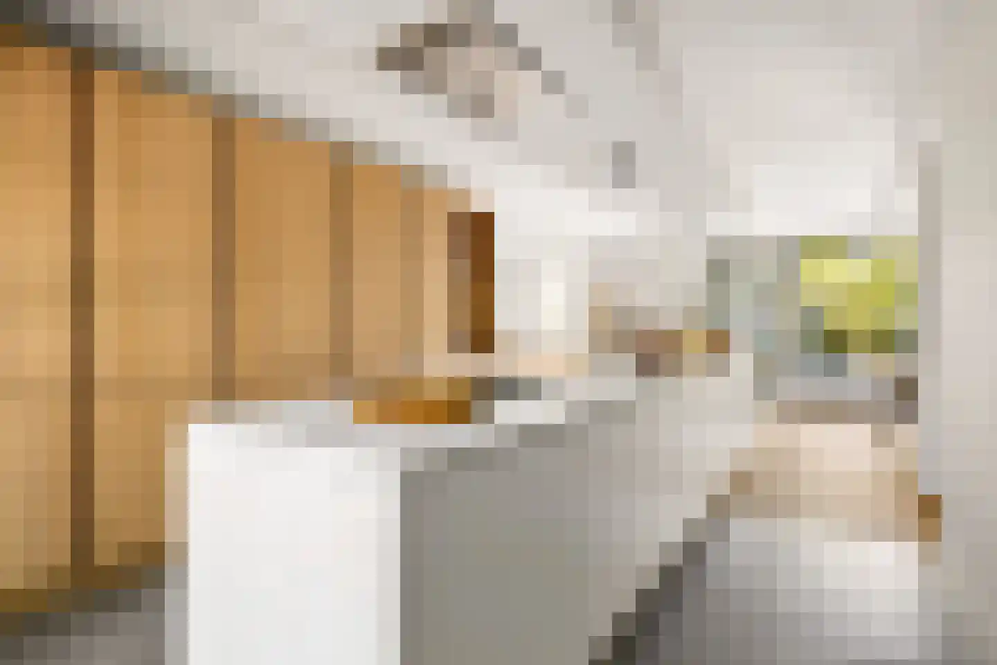 Millsebaan 109 Uden thumbnail 20