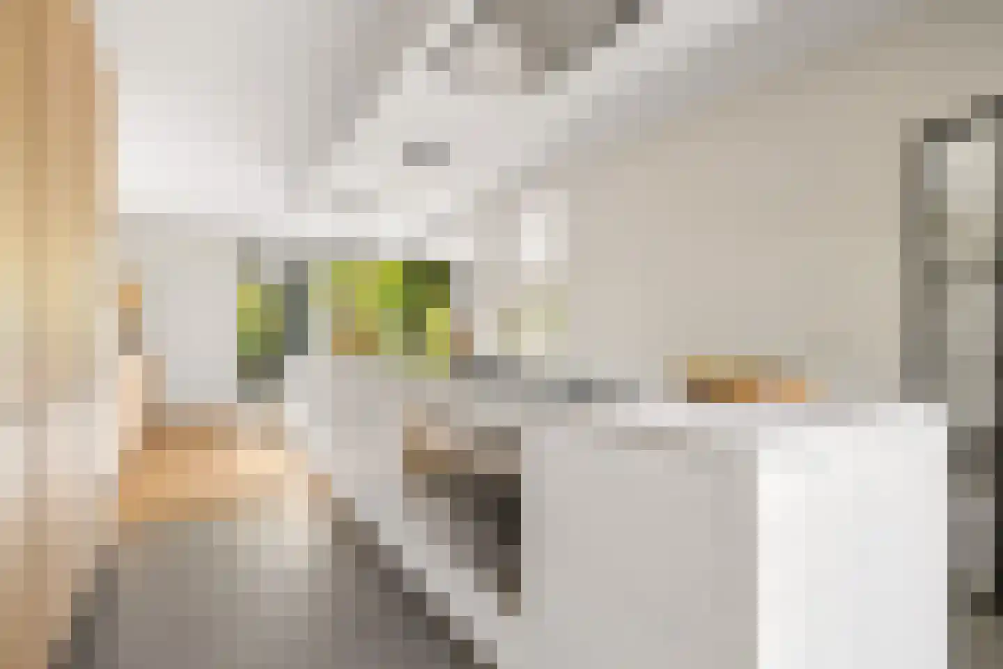 Millsebaan 109 Uden thumbnail 22