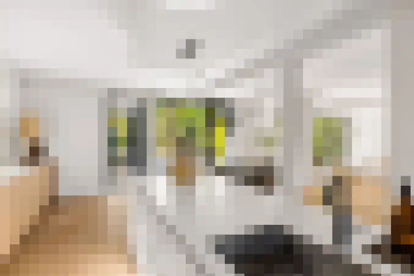 Millsebaan 109 Uden thumbnail 24