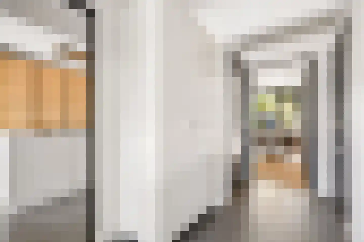 Millsebaan 109 Uden thumbnail 28