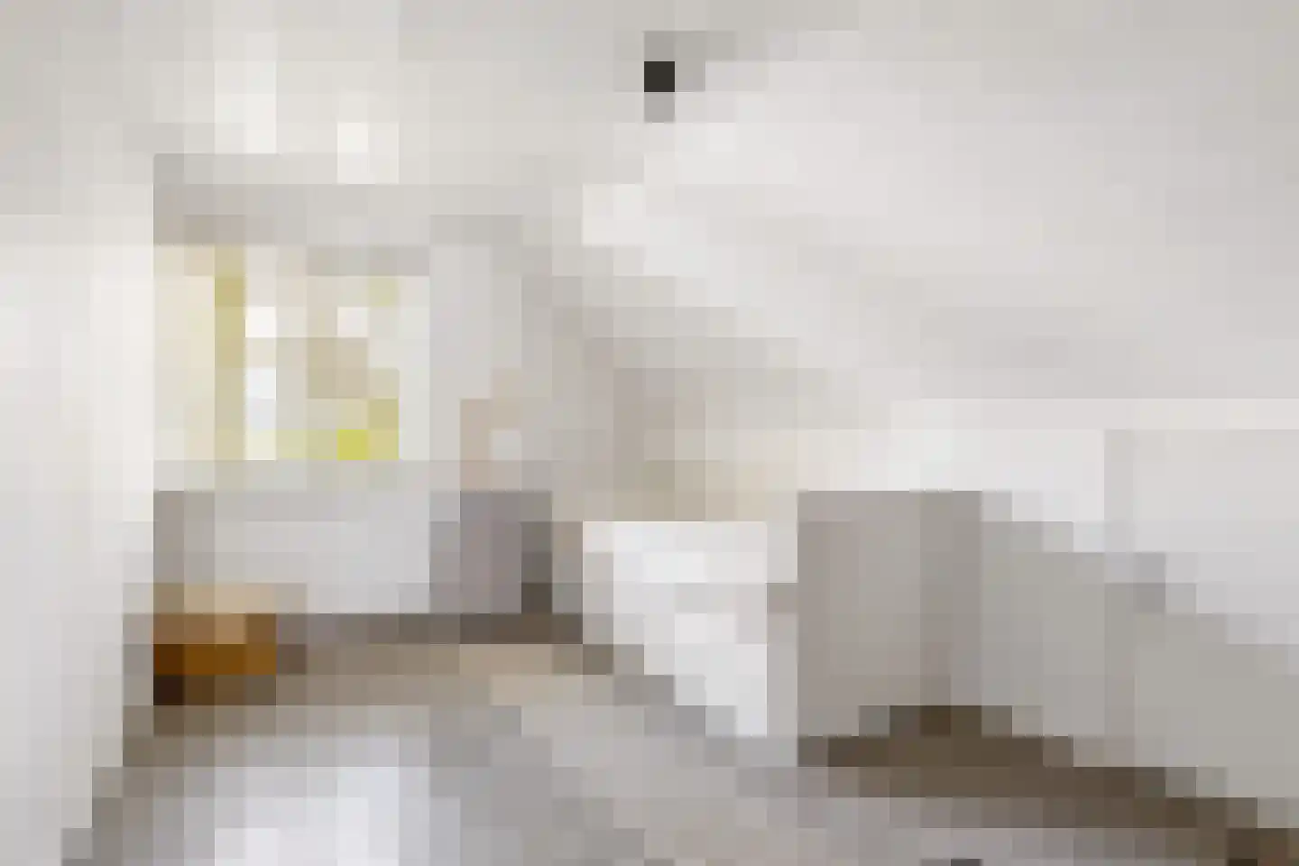 Millsebaan 109 Uden thumbnail 32