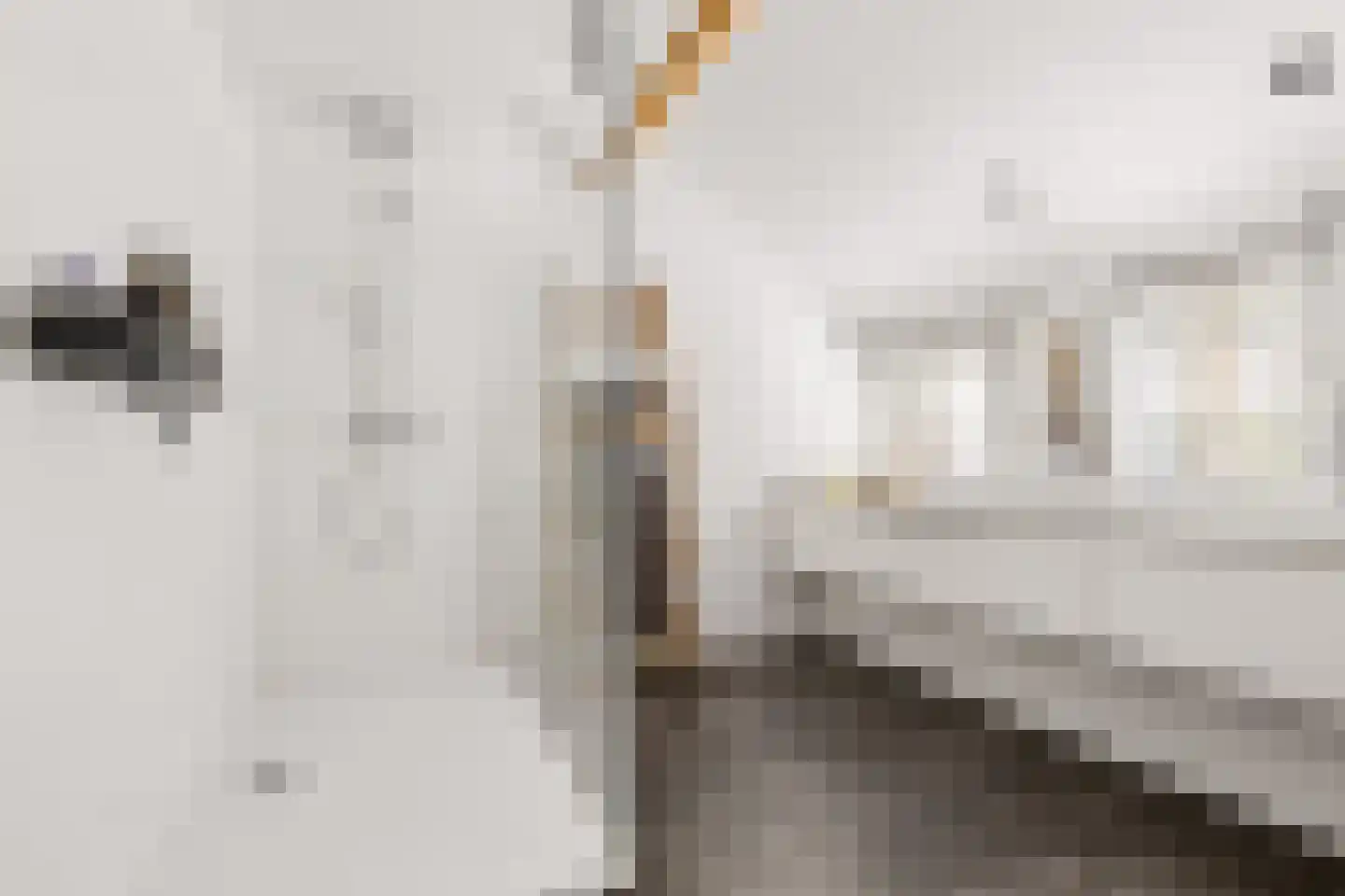 Millsebaan 109 Uden thumbnail 35