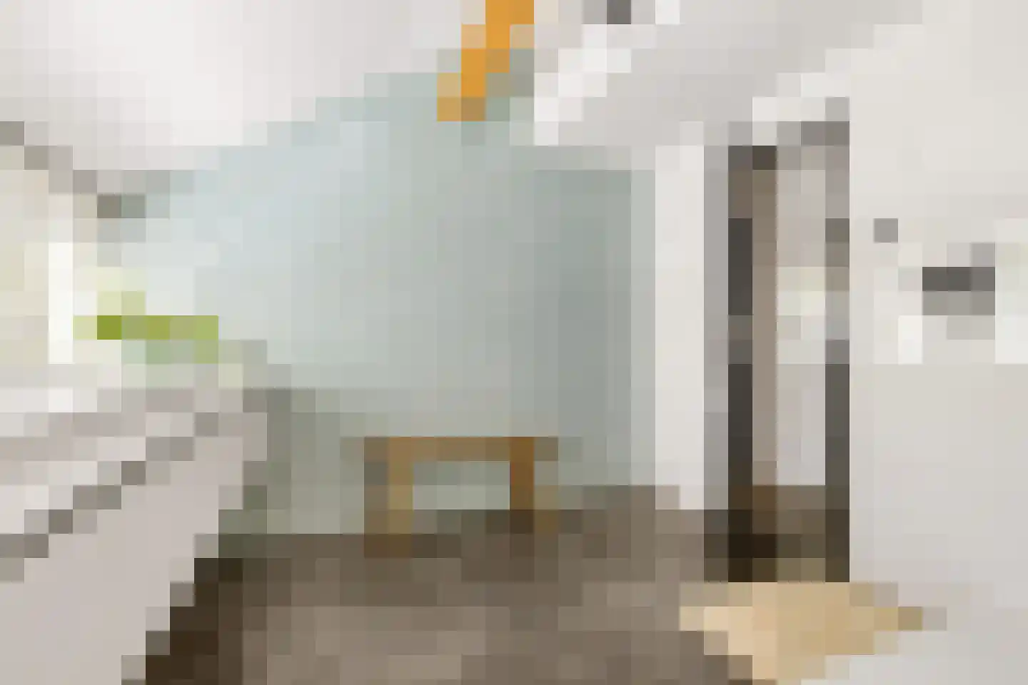 Millsebaan 109 Uden thumbnail 36