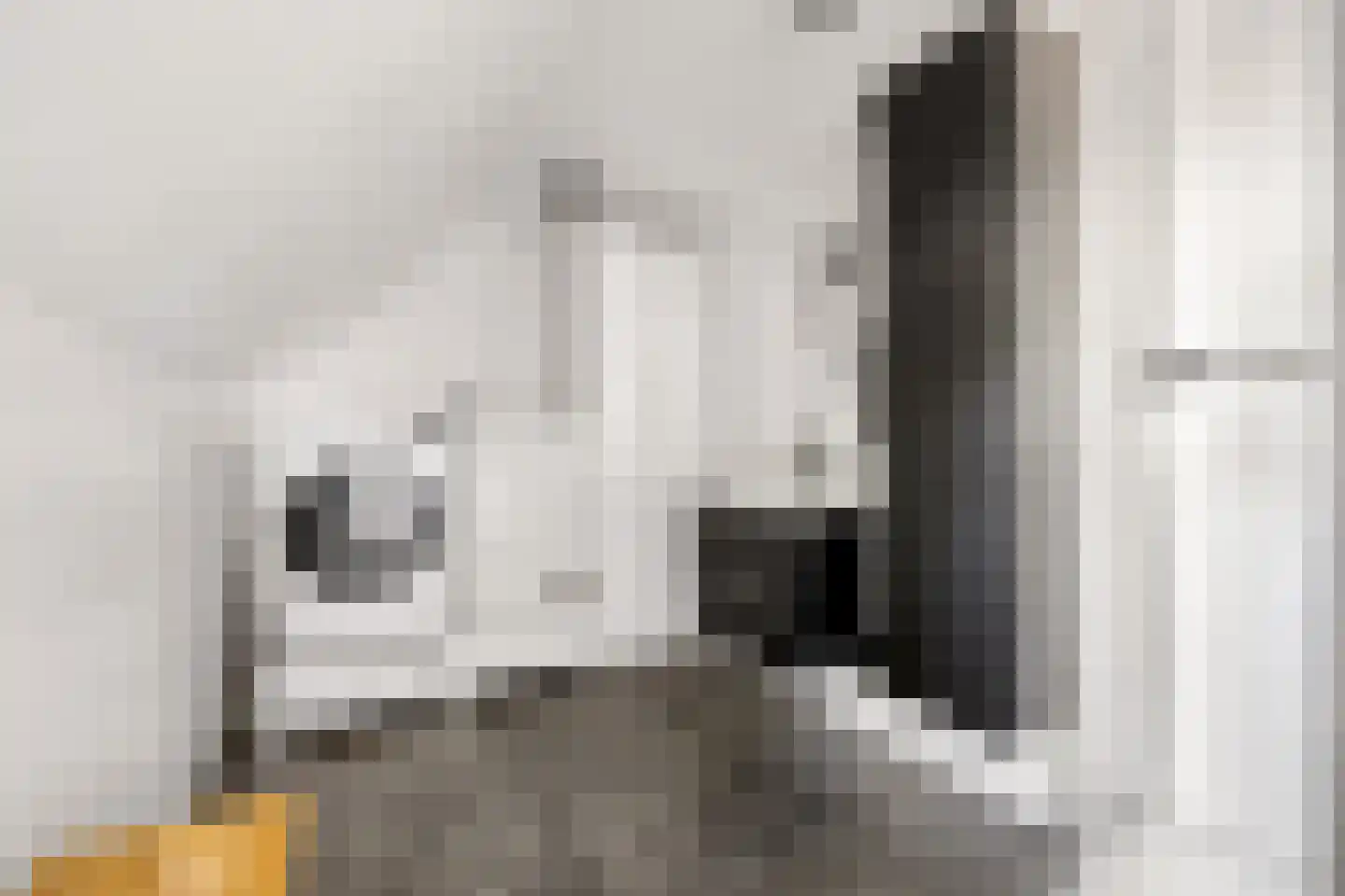 Millsebaan 109 Uden thumbnail 39