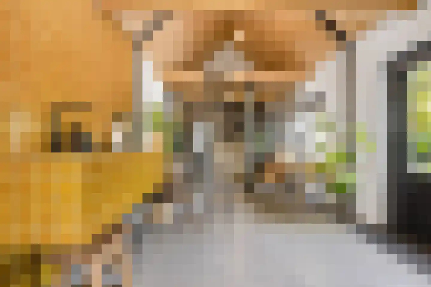 Millsebaan 109 Uden thumbnail 41