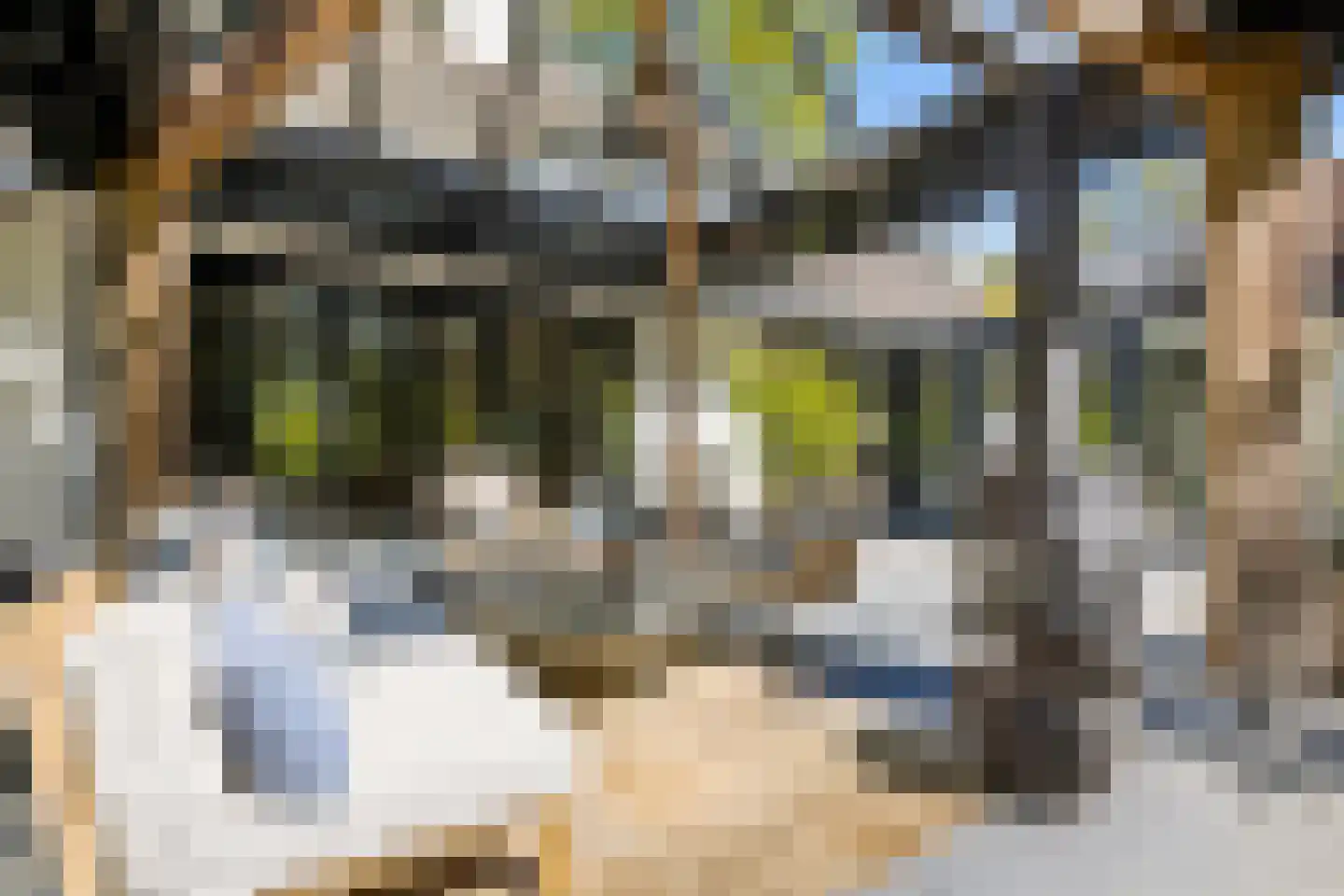 Millsebaan 109 Uden thumbnail 43