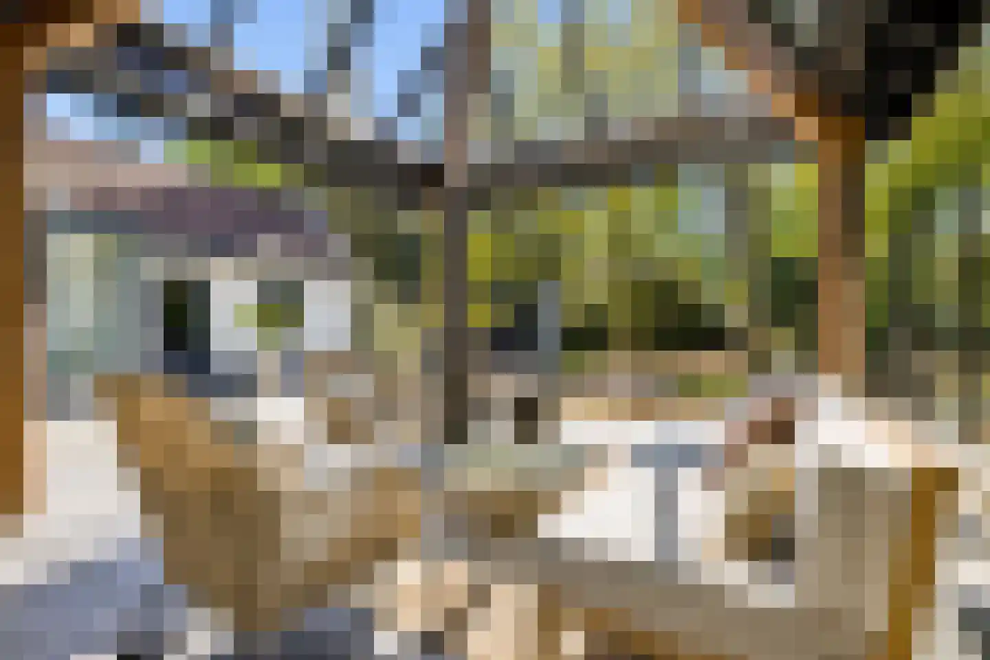 Millsebaan 109 Uden thumbnail 44
